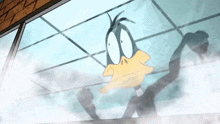 a cartoon duck is looking through a window