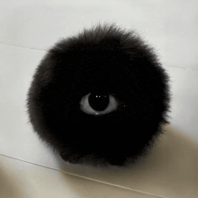 a black stuffed animal with an eye in the center