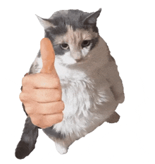 a cat is giving a thumbs up sign with a hand