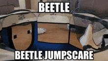 a picture of a dog cage with the words beetle jumpscare above it