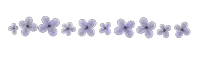 a row of purple flowers are arranged in a row