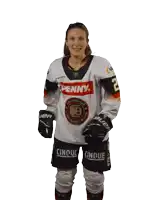 Ice Hockey Eishockey Sticker
