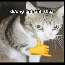 a cat is giving a thumbs up sign with a yellow hand on its paw