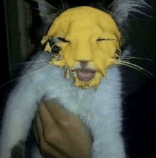 a person is holding a cat with a yellow face painted on it .