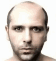 a bald man with a beard is looking at the camera with a white background .