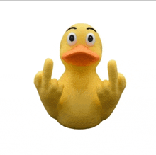 a yellow rubber duck is giving a middle finger