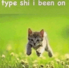 a kitten is running through a field of grass with the words `` type shi i been on '' written above it .