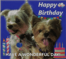 two small dogs are on a birthday card that says have a wonderful day