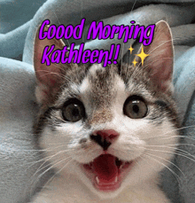 a picture of a cat with the words good morning kathleen written above it