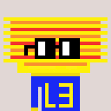 a pixel art of a person wearing sunglasses and the letter e on the bottom