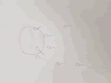 a drawing of a circle and a few worms on a white background