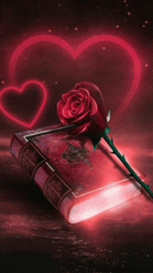 a red rose is sitting on top of a book in front of a heart .