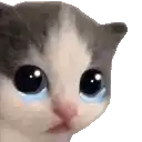 a close up of a kitten 's face with tears coming out of its eyes .