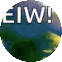 a circle with the word eiw in white letters