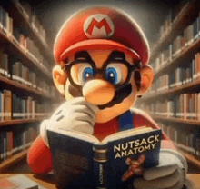 mario is reading a book in a library called nutsack anatomy