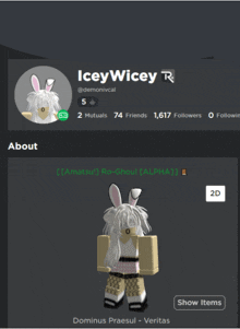 a screenshot of icey wicey 's profile on a website