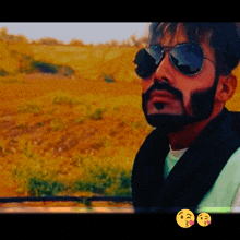 a man with a beard wearing sunglasses stands in front of a yellow field