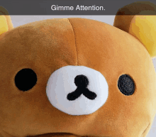 a close up of a stuffed animal with the words " gimme attention " above it