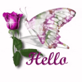 a purple butterfly is flying next to a purple rose with the word hello written below it
