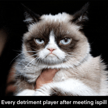 a grumpy cat with the words every detriment player after meeting ispill written below it