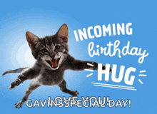 a kitten is jumping in the air with the words incoming birthday hug gavins special day