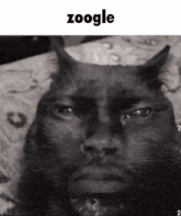 a black and white photo of a cat with the word zoogle on the top