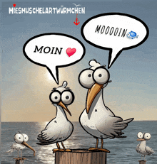 two seagulls standing on a dock with speech bubbles that say moin and mooooin