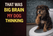 a dog is sitting on a toilet next to a chalkboard that says that was big brain my dog thinking