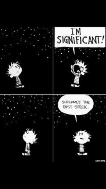 a black and white cartoon of calvin and hobbes screaming at the stars .