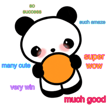 a panda bear holding a ball with the words so success such amazo super wow many cute very win much good written around it