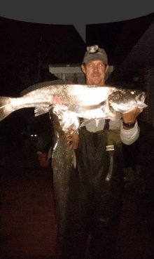 a man wearing a headlamp is holding a large fish