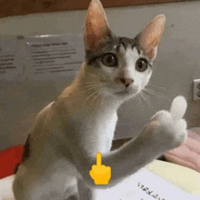 a cat is giving a thumbs up with a yellow finger on its arm