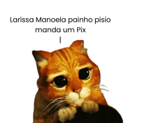 a picture of a cat with the words larissa manoela painho pisio manda um pix below it