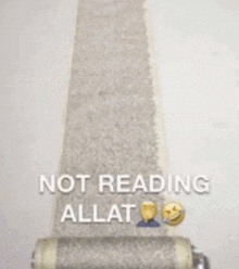 a roll of toilet paper that says not reading allat on it .