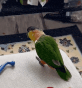 a green and orange parrot is sitting on a white blanket