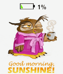 an owl in a bathrobe is holding a cup of coffee and the words good morning sunshine are below it