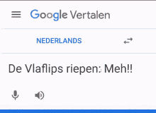 a screen shot of google vertalen with a sound icon