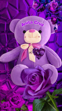 a purple teddy bear with anita cruz on it