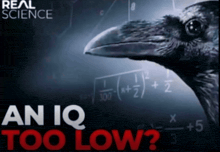 an advertisement for real science shows a crow in front of math equations