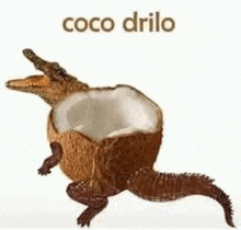 a crocodile made out of a coconut with its mouth open .