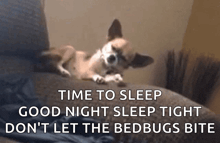 a small dog is laying on a couch with the words time to sleep good night sleep tight don 't let the bedbugs bite