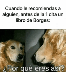 a dog looking at its reflection in a mirror with the caption cuando le recomiendas a alguien