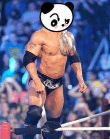 a wrestler in a ring with a panda face on his head