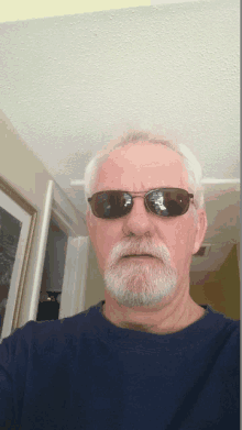 a man wearing sunglasses and a blue shirt is taking a selfie