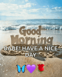 a picture of a beach with the words " good morning babe have a nice day "