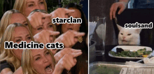 a group of women pointing at each other with the words starclan medicine cats and soulsand