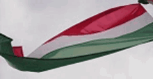 a person is holding a red , white and green flag in the air .