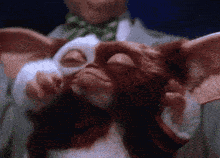 a man in a green bow tie is holding a gizmo with its eyes closed