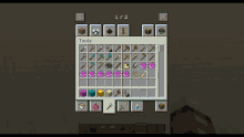 a screenshot of a video game called minecraft shows the inventory of tools