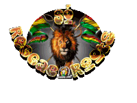 a picture of a lion with the words so reggae on the bottom